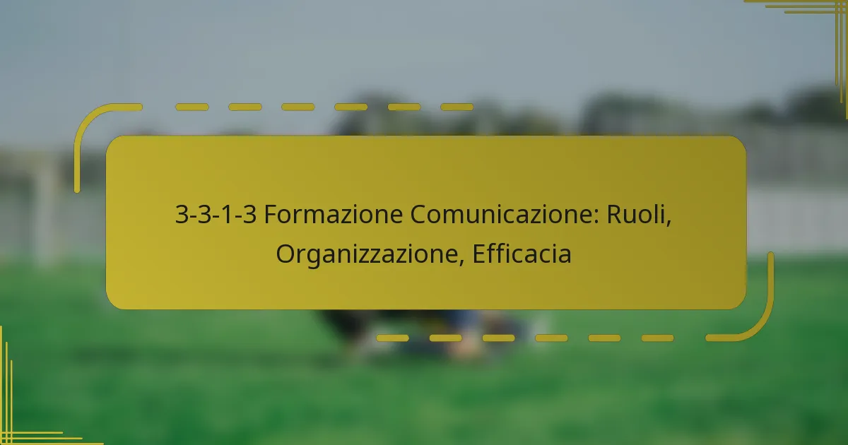 3-3-1-3 Formazione Comunicazione: Ruoli, Organizzazione, Efficacia
